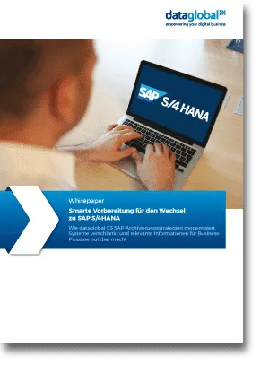 dataglobal Whitepaper SAP HANA